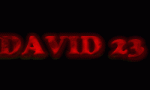 david23