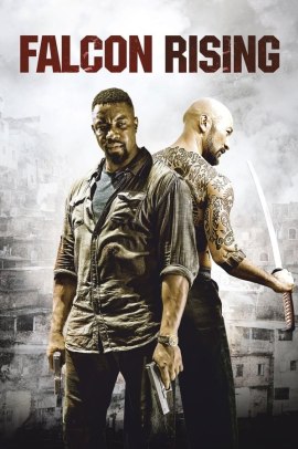 Falcon Rising (2014) Streaming ITA