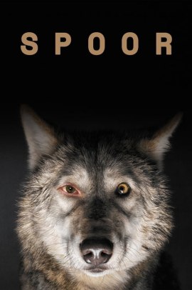 Spoor - Il sentiero (2017) ITA Streaming