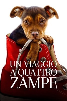 Un viaggio a quattro zampe (2019) Streaming ITA