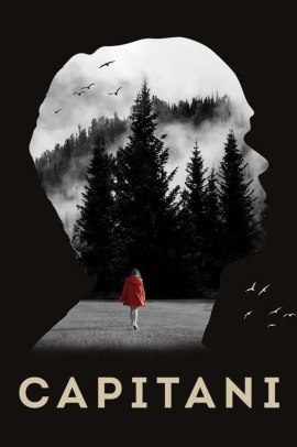 Capitani 1 [12/12] ITA Streaming