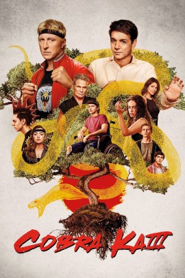 Cobra Kai 3 [10/10] ITA Streaming