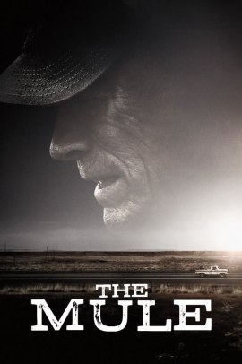 Il Corriere - The Mule (2018) ITA Streaming