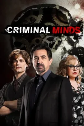 Criminal Minds 14 [15/15] ITA Streaming