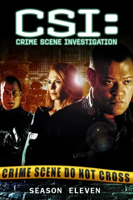 CSI: Scena del crimine 11 [22/22] ITA Streaming