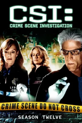 CSI: Scena del crimine 12 [22/22] ITA Streaming