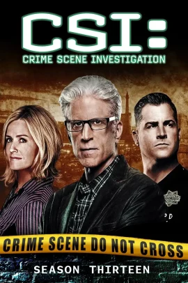 CSI: Scena del crimine 13 [22/22] ITA Streaming