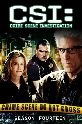 CSI: Scena del crimine 14 [22/22] ITA Streaming