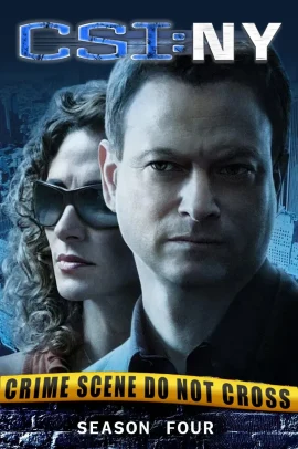 CSI: New York 4 [21/21] ITA Streaming