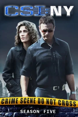 CSI: New York 5 [25/25] ITA Streaming