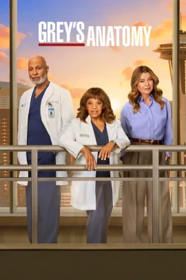 Grey's Anatomy 22 [11/18] ITA Streaming (In Corso)