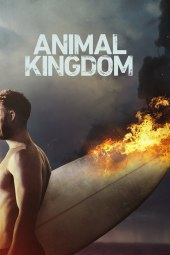 Animal Kingdom 2 [13/13] ITA Streaming