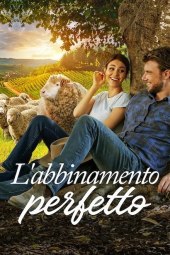 L'abbinamento perfetto (2022) Streaming