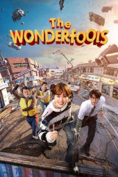 The WONDERfools [8/8] ITA Streaming