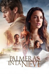 Palme nella neve (2015) ITA Streaming