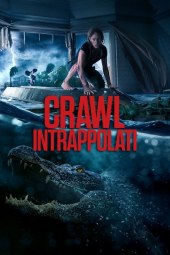Crawl - Intrappolati (2019) ITA Streaming