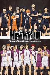 Haikyuu!! Karasuno Koukou vs Shiratorizawa Gakuen Koukou [10/10] (2016) [3°Serie] Sub ITA Streaming