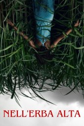 Nell'erba alta (2019) ITA Streaming