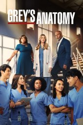 Grey's Anatomy 19 [20/20] ITA Streaming