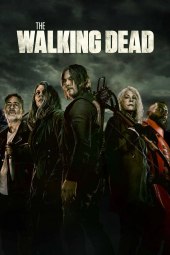 The Walking Dead 11 [24/24] ITA Streaming