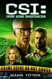 CSI: Scena del crimine 15 [18/18] ITA Streaming