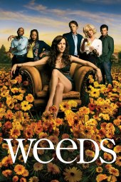 Weeds 2 [12/12] ITA Streaming