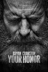 Your Honor 2 [10/10] ITA Streaming