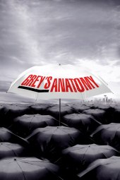 Grey's Anatomy 6 [24/24] ITA streaming