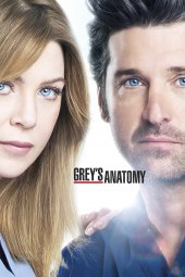 Grey's Anatomy 9 [24/24] ITA streaming