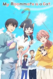 Dōkyonin wa hiza, tokidoki, atama no ue. [12/12] (2019) Sub ITA Streaming