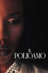 Il Poligamo 1 [22/22] ITA Streaming